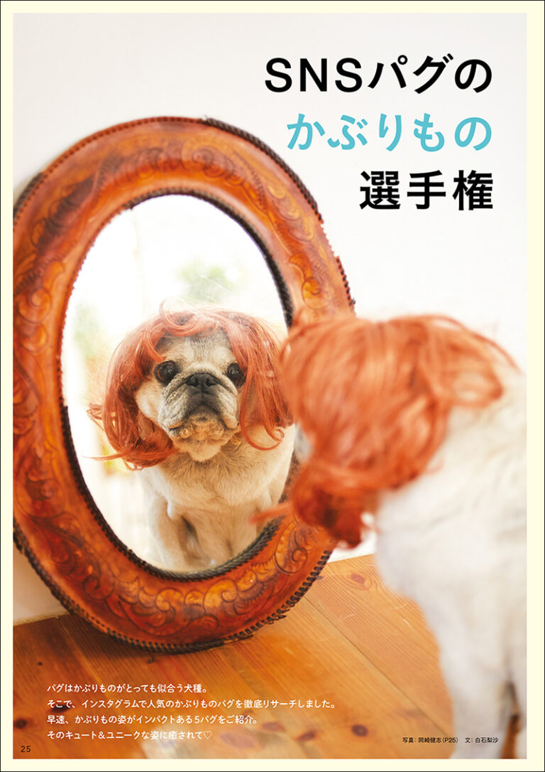 愛犬の友 2018年9月号 | 株式会社誠文堂新光社