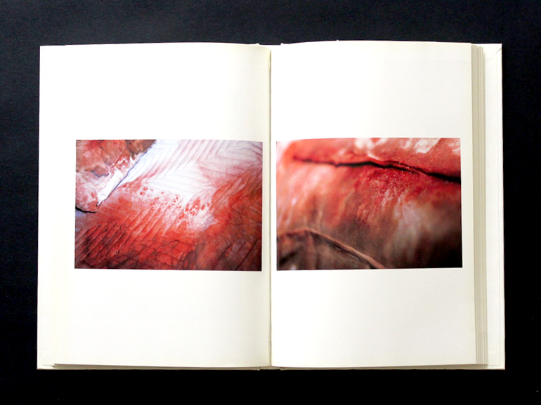 目のまえのつづき｜青幻舎 SEIGENSHA Art Publishing, Inc.