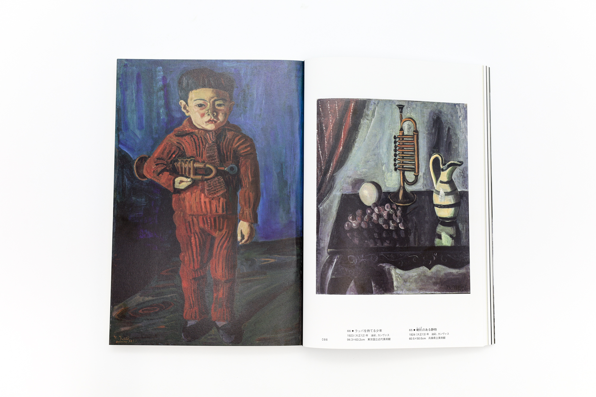 小出楢󠄀重 新しき油絵｜青幻舎 SEIGENSHA Art Publishing, Inc.