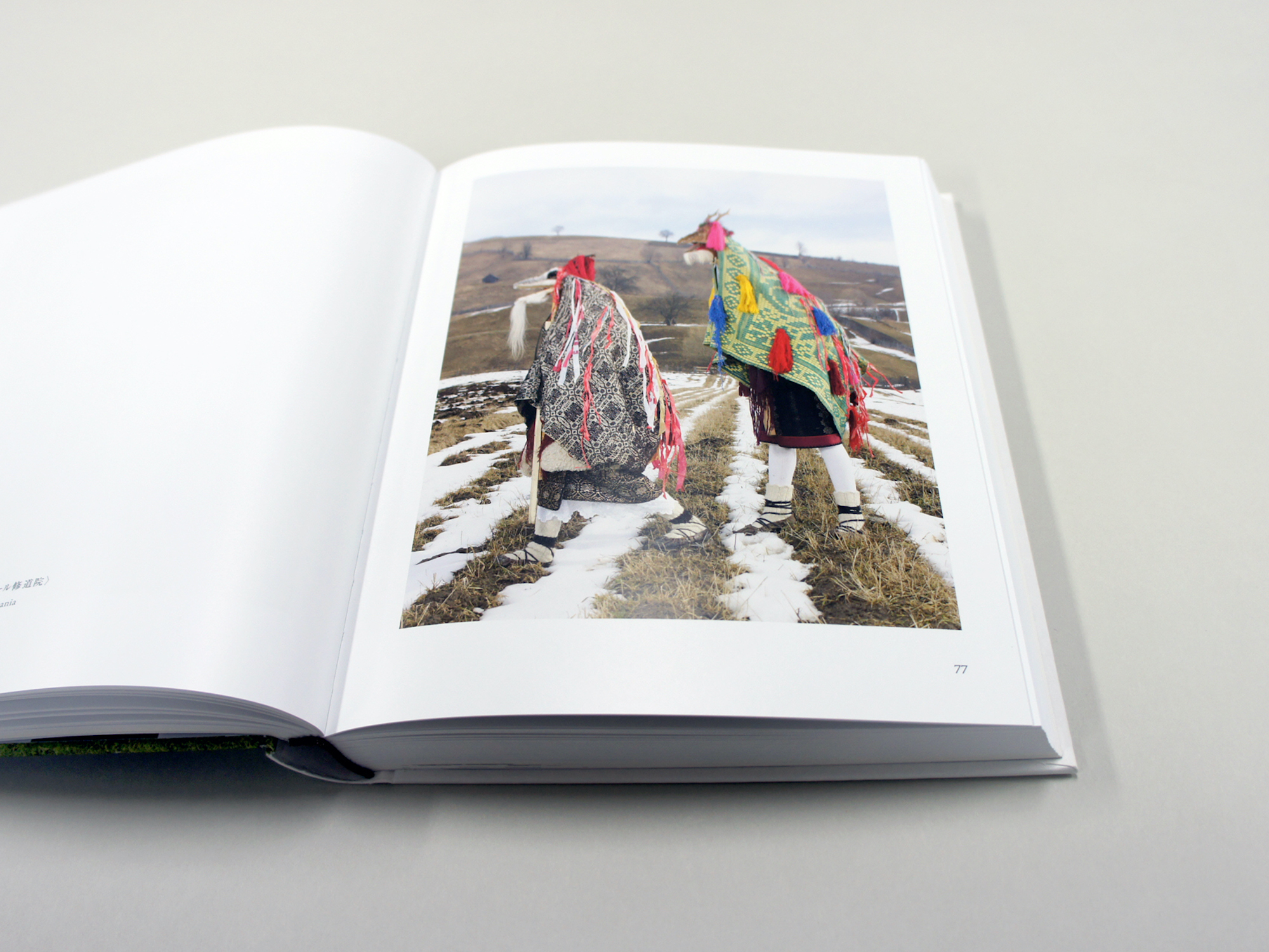 WILDER MANN （ワイルドマン） ―欧州の獣人 仮装する原始の名残｜青幻