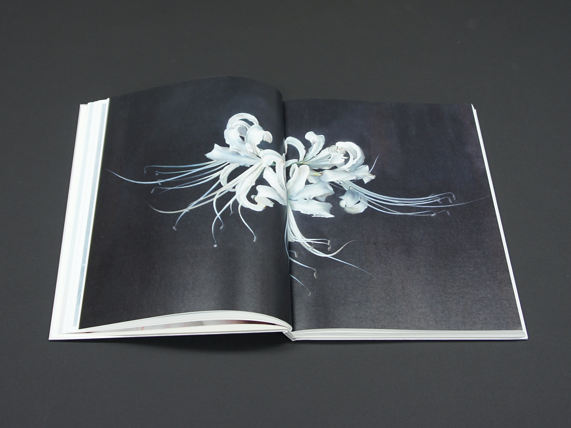 諏訪敦 絵画作品集 Blue｜青幻舎 SEIGENSHA Art Publishing, Inc.