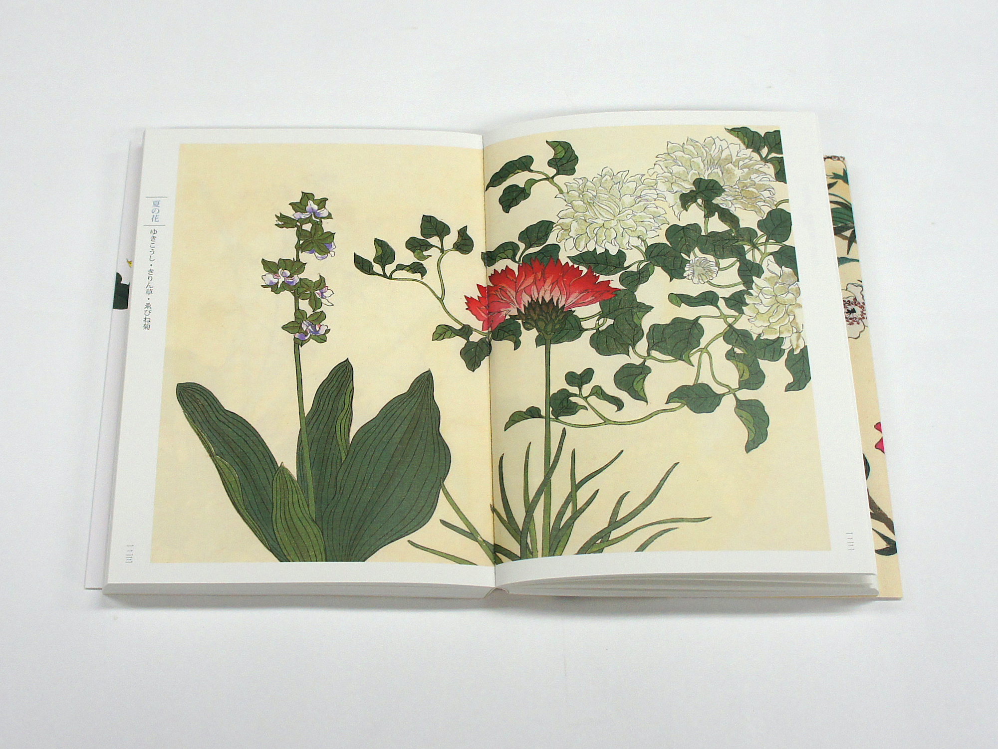 新装版 四季の花（上巻）｜青幻舎 SEIGENSHA Art Publishing, Inc.