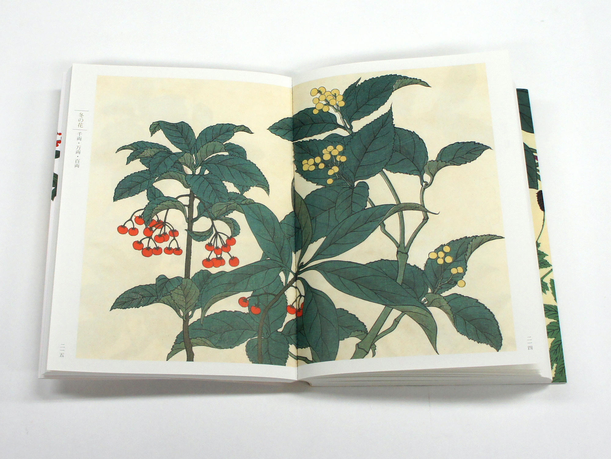 新装版 四季の花（下巻）｜青幻舎 SEIGENSHA Art Publishing, Inc.