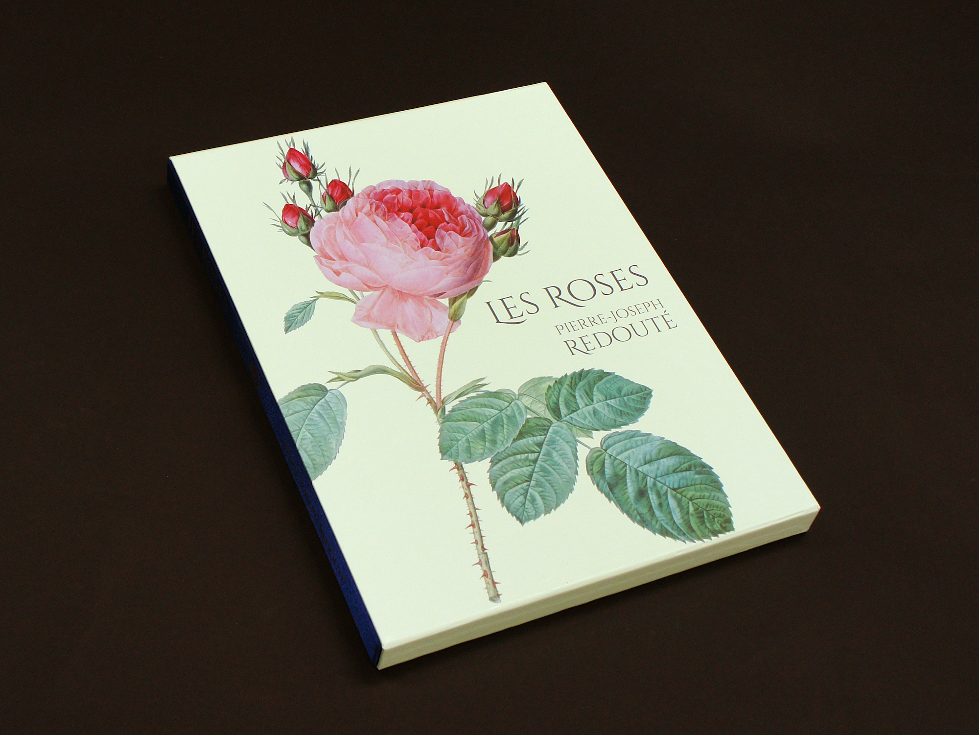Les Roses バラ図譜｜青幻舎 SEIGENSHA Art Publishing, Inc.
