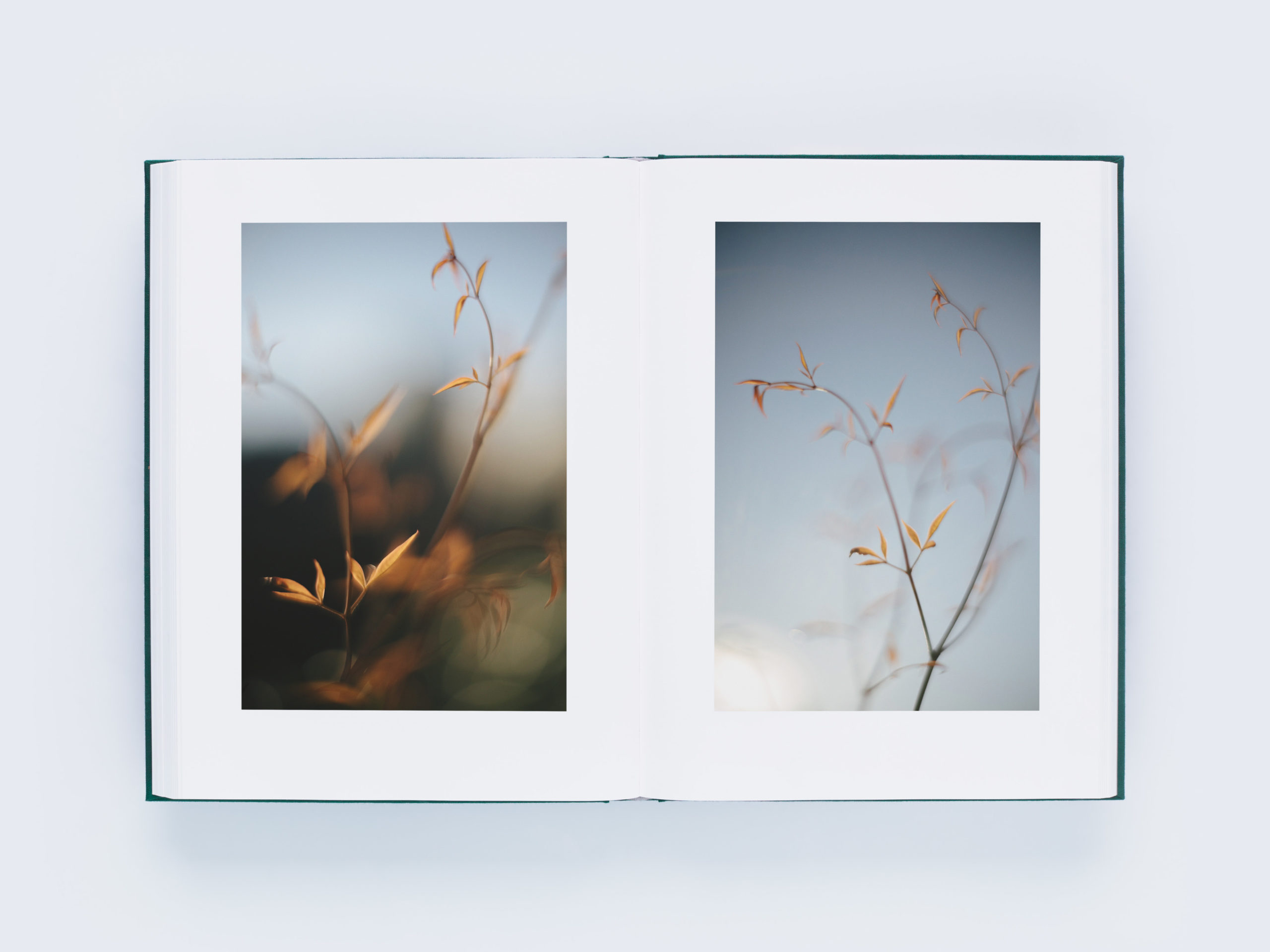 LUMIÈRE ルミエール｜青幻舎 SEIGENSHA Art Publishing, Inc.