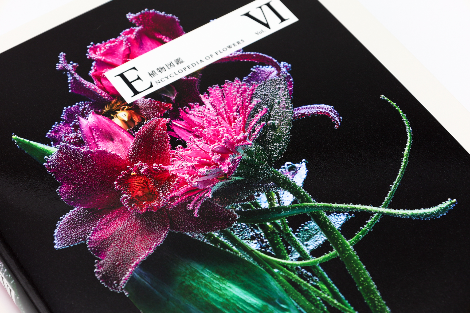 ENCYCLOPEDIA OF FLOWERS Ⅵ 植物図鑑｜青幻舎 SEIGENSHA Art