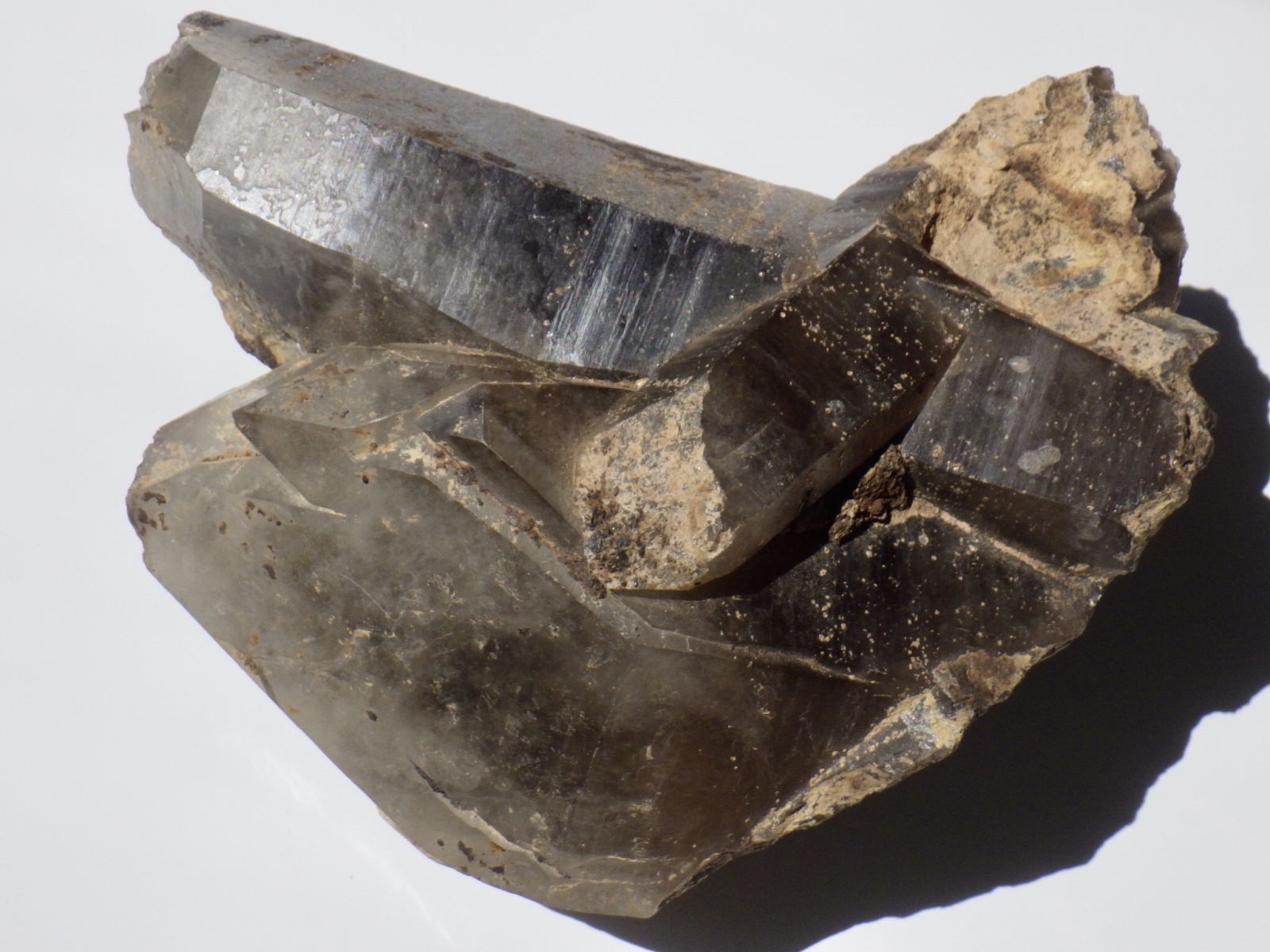 鳥取県産煙水晶大 - セルフクリエイション