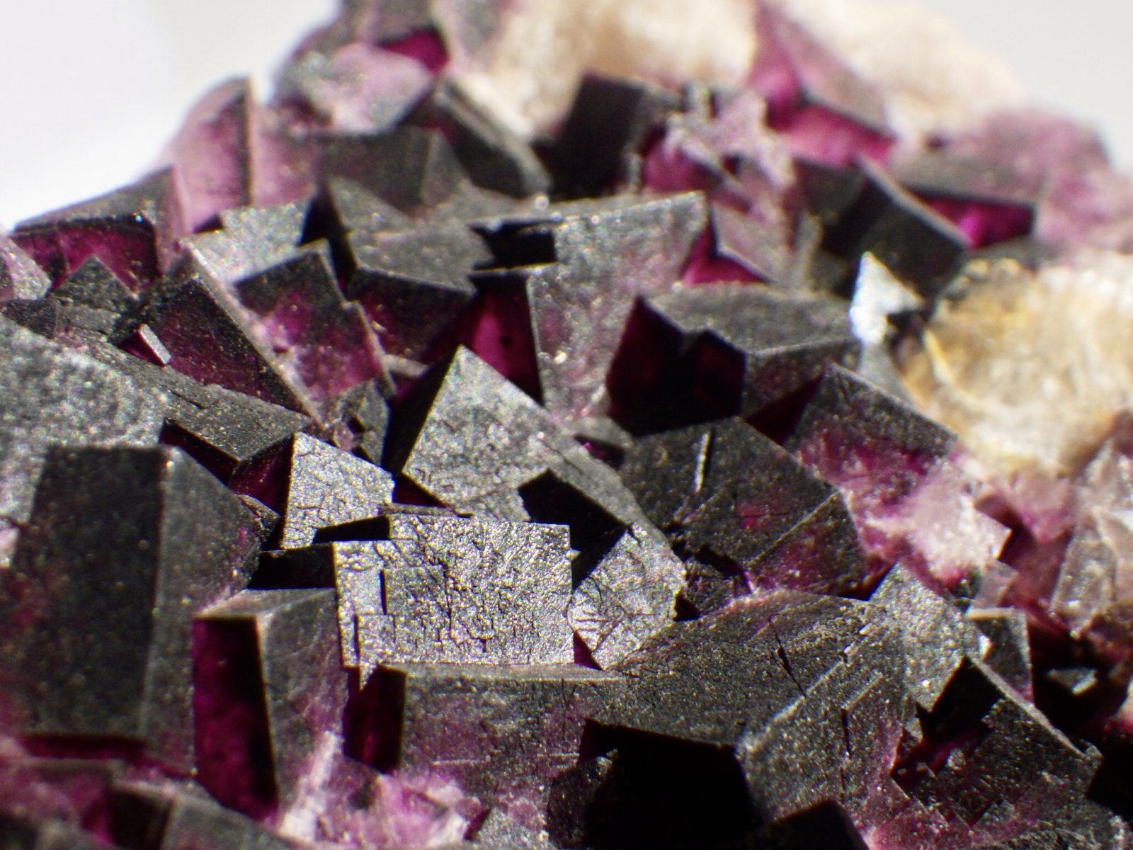 ドイツ産フローライトA - セルフクリエイション