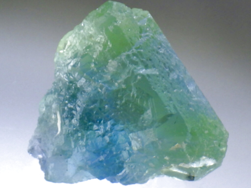 湖南省産放射線処理フローライトA - セルフクリエイション