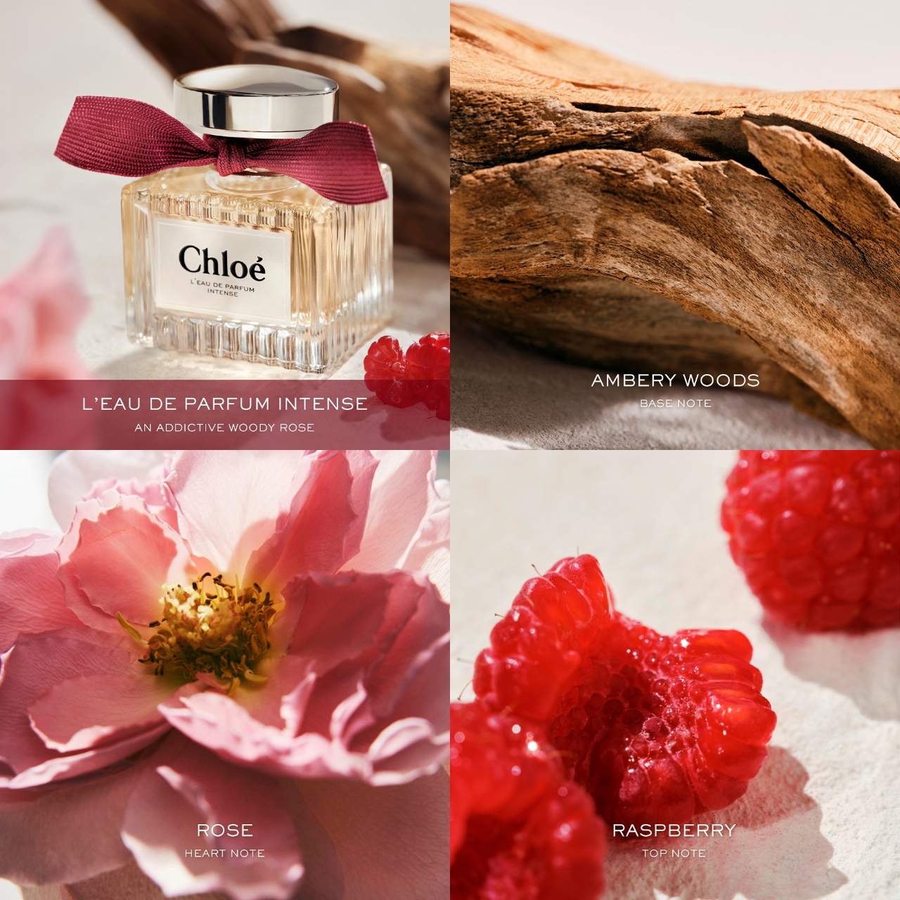 Chloé L'Eau de Parfum Intense with Raspberry, Rose & Amber - Chlo&