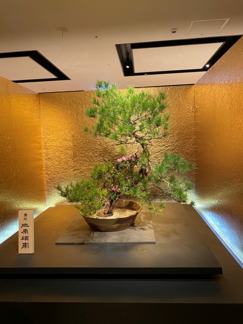 未生流華展を拝見しました - いけばな嵯峨御流（さがごりゅう）