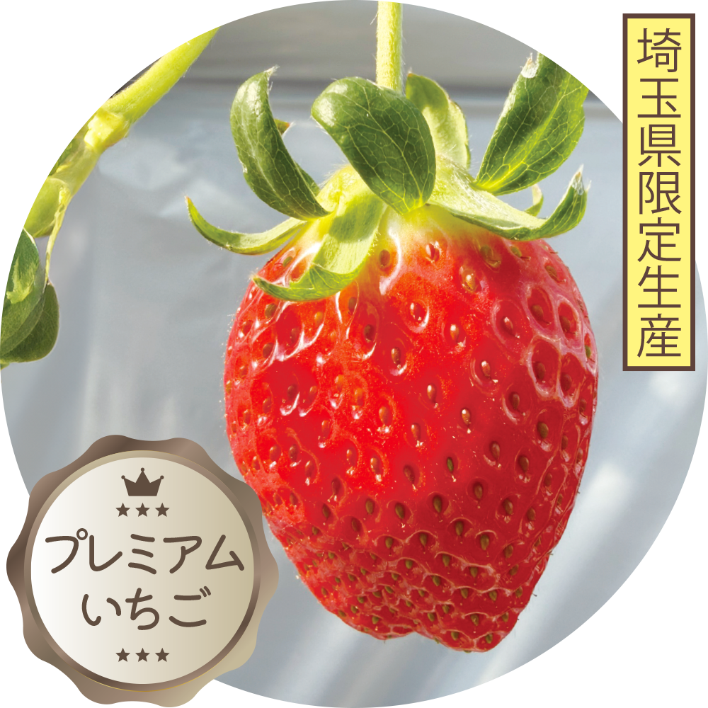 いちごさんぽ園｜トップページ｜いちご狩り～新座野火止のいちご園