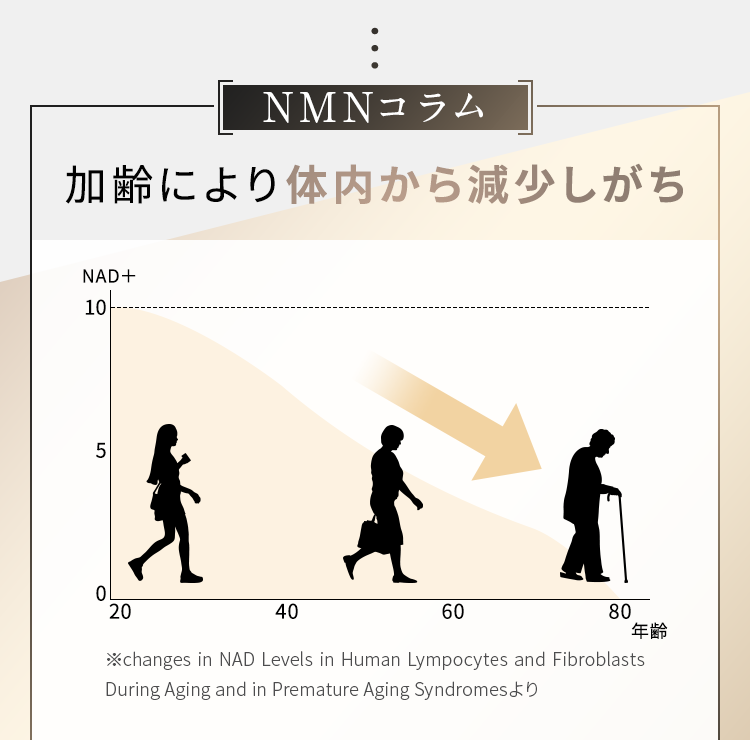 サン・クラルテ製薬ゼウスEX - サン・クラルテ製薬