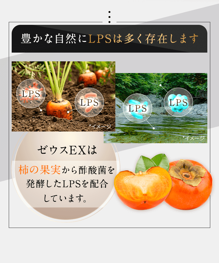 サン・クラルテ製薬ゼウスEX - サン・クラルテ製薬