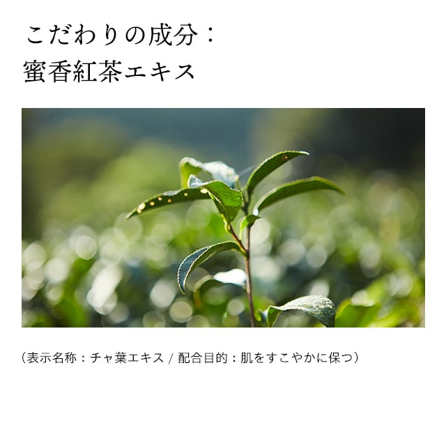 ドモホルンリンクルの『洗顔石鹸』の商品詳細と使い方｜基礎化粧品