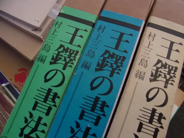 王鐸の書法』をお売り頂きました(二玄社/書道)／神奈川県横須賀市より