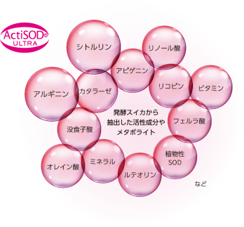 SantéAge [サンテアージュ] - NINAPHARM JAPON｜ポジティブ