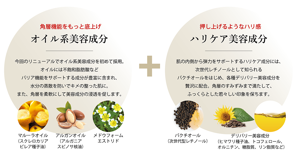 SantéAge [サンテアージュ] - NINAPHARM JAPON｜ポジティブ