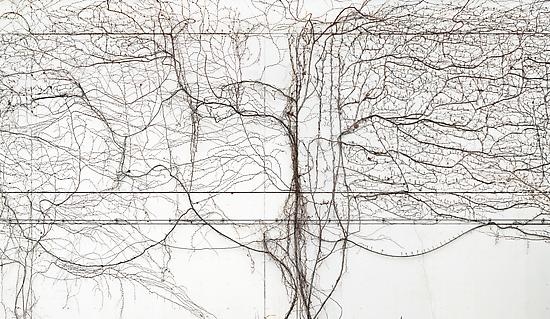 Andreas Gefeller - Artists - Sarah Hasted