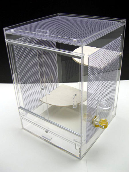 高級アクリルケージ・おすすめレイアウト