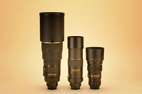 Nikon AF-S Nikkor 300mm f/4E PF ED VR Lens Review | Shutterbug