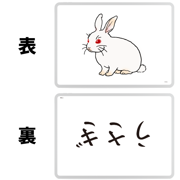 七田式カードフラッシュおためしセット【フラッシュカード】 | 七田式