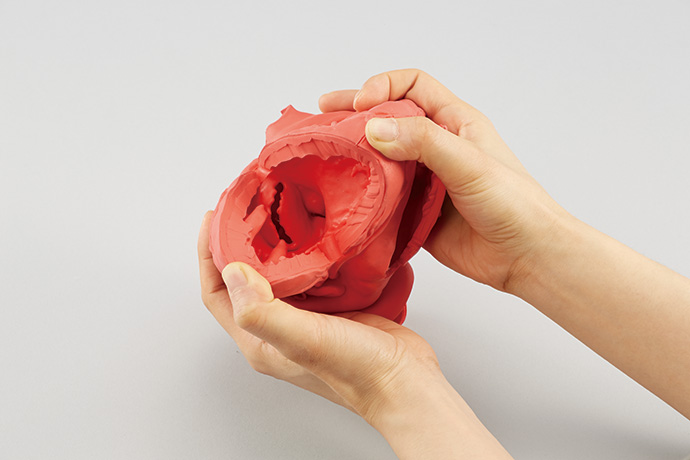 心臓シミュレータ | 株式会社島津理化