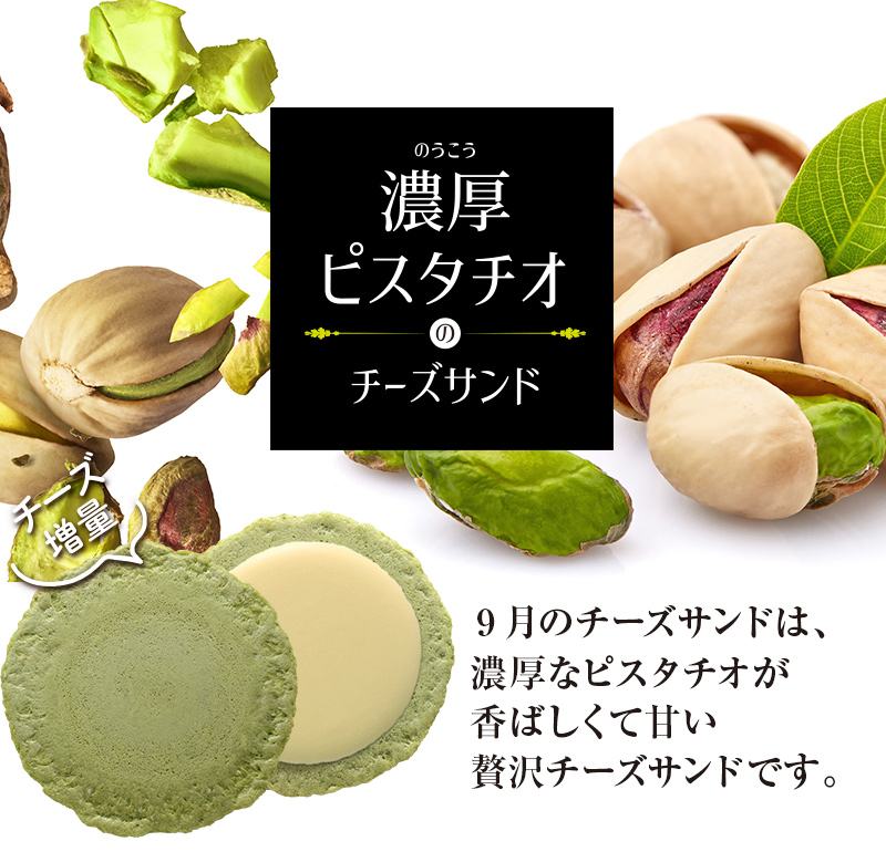 2023年9月限定チーズサンド「濃厚ピスタチオ」 えびとチーズの専門店