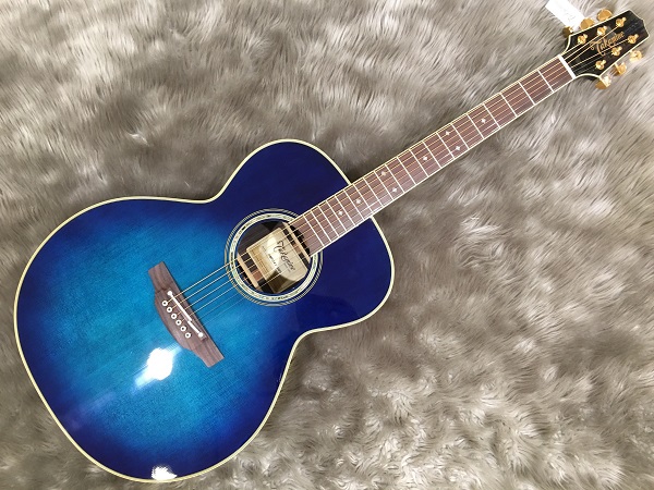 アコースティックギター/DMP541/Takamine】アコギ担当、余賢章（よ