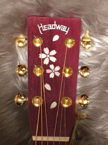 アコースティックギター】Headway「HF-413SAKURA/STD」が入荷！｜島村