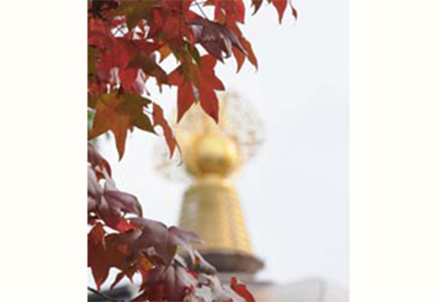 法要・行事｜真如苑