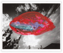 荒木経惟『遺作 空2』