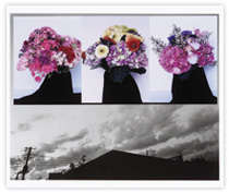 荒木経惟『遺作 空2』