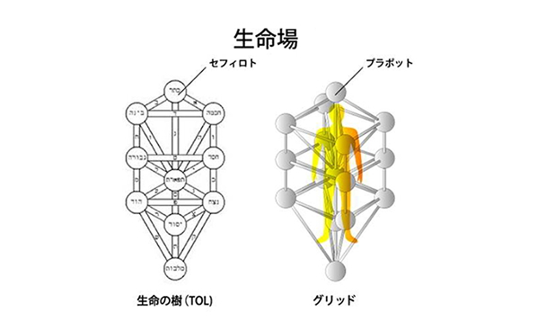 3Dカバラ・マスターペンダントの販売店【信州健康倶楽部】