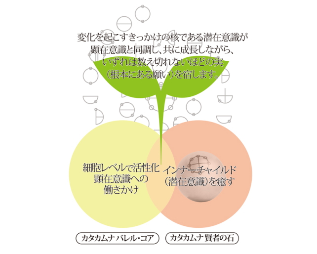 監修：医学博士 丸山修寛先生の「カタカムナ 賢者の石」の販売【信州