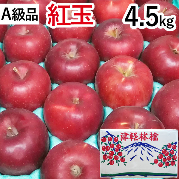送料込】【A級品】サンふじ青森りんごノーワックス5kg【竹嶋有機農園