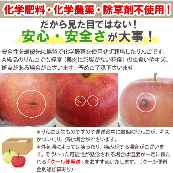 送料込】【A級品】サンふじ青森りんごノーワックス5kg【竹嶋有機農園