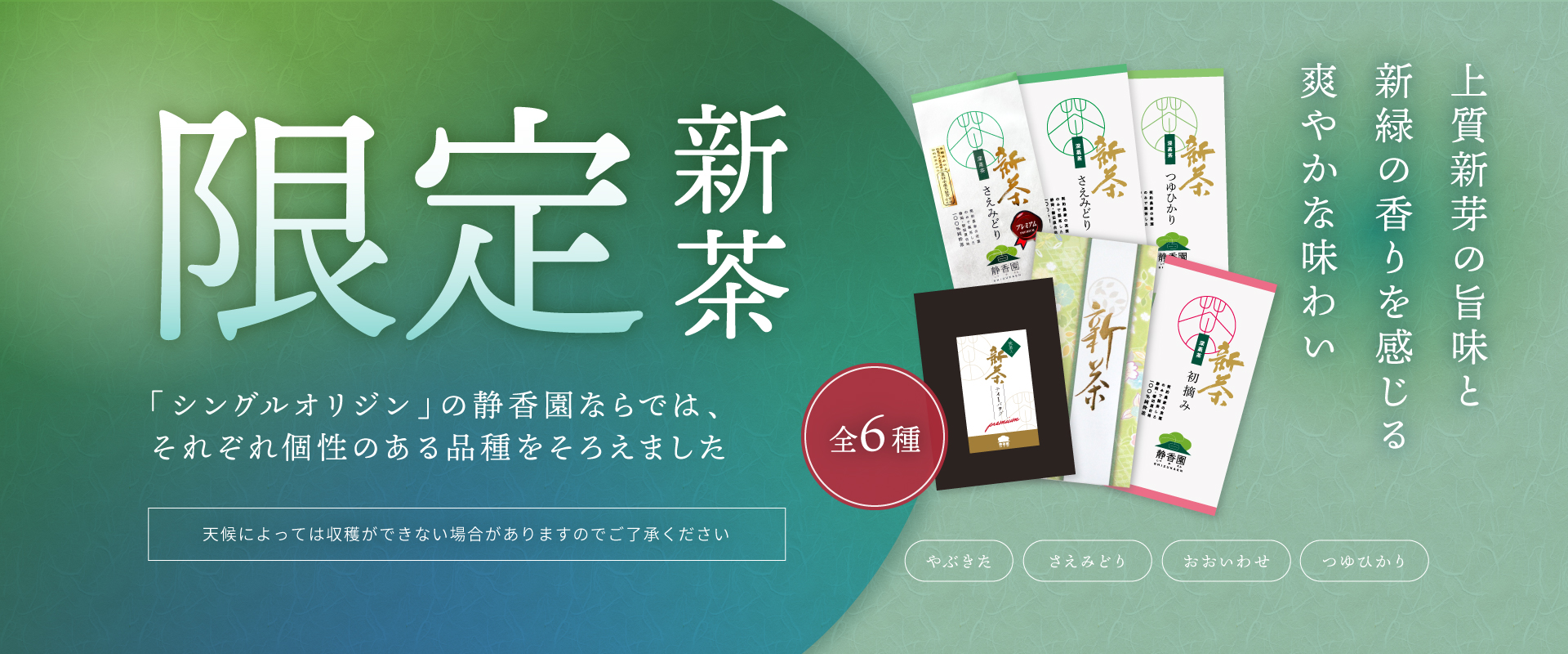 静香園製茶の深蒸し新茶