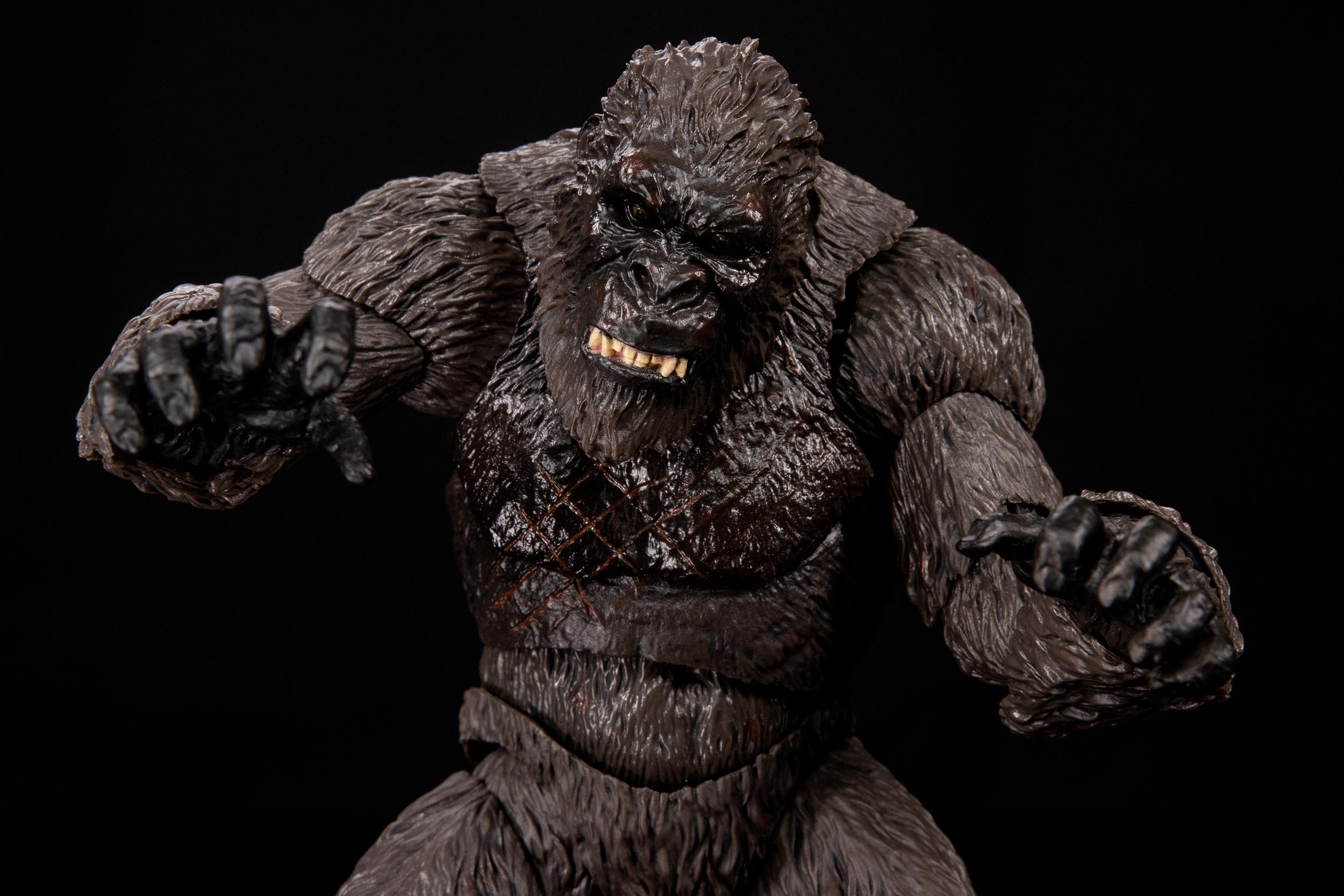 Kong 2021 Exclusive Edition Review