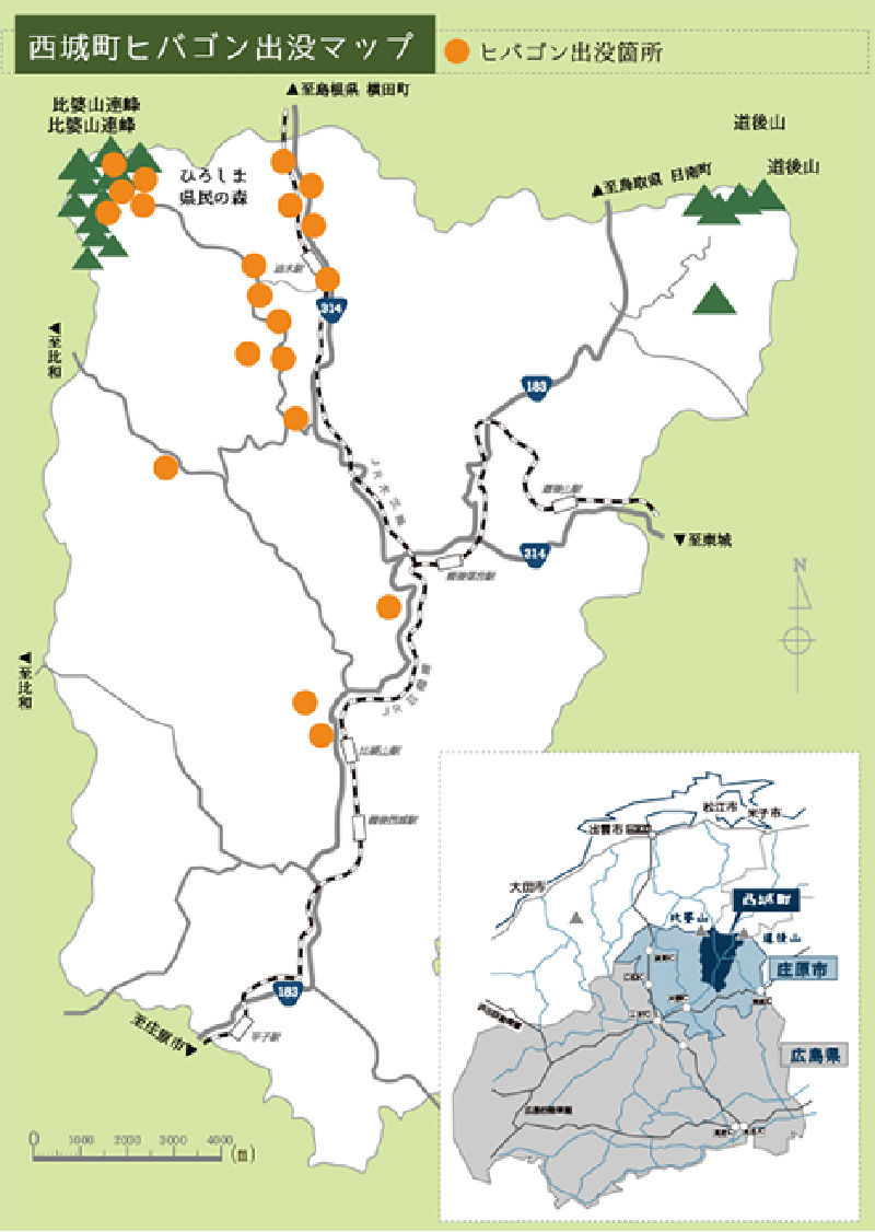 ヒバゴン～実在した、謎の類人猿～|庄原観光ナビ 【公式】広島県庄原市