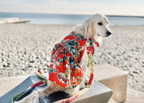 茅ヶ崎発 ハワイアンなわんこ服】アロハ 縫 茅ヶ崎 - とことこ湘南