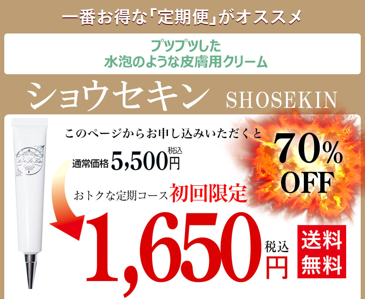 ショウセキン syousekin