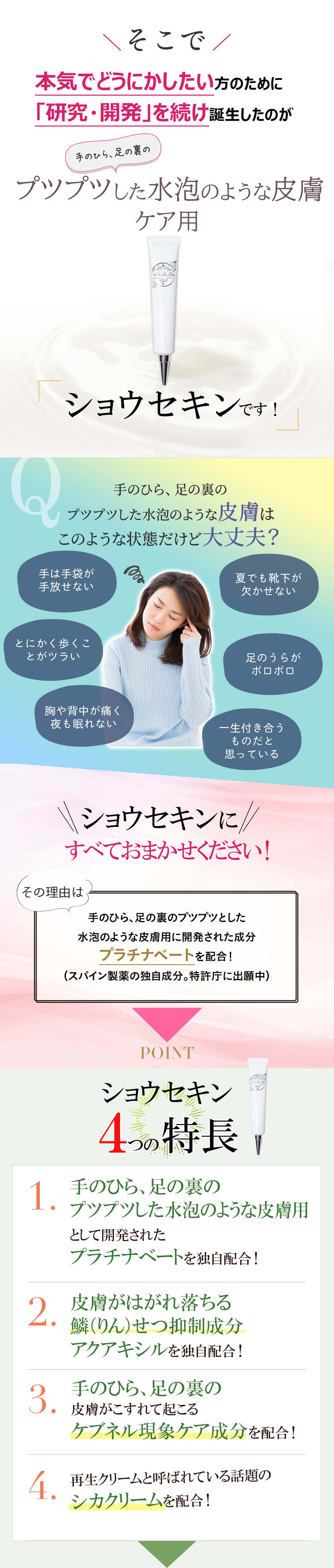 ショウセキン syousekin