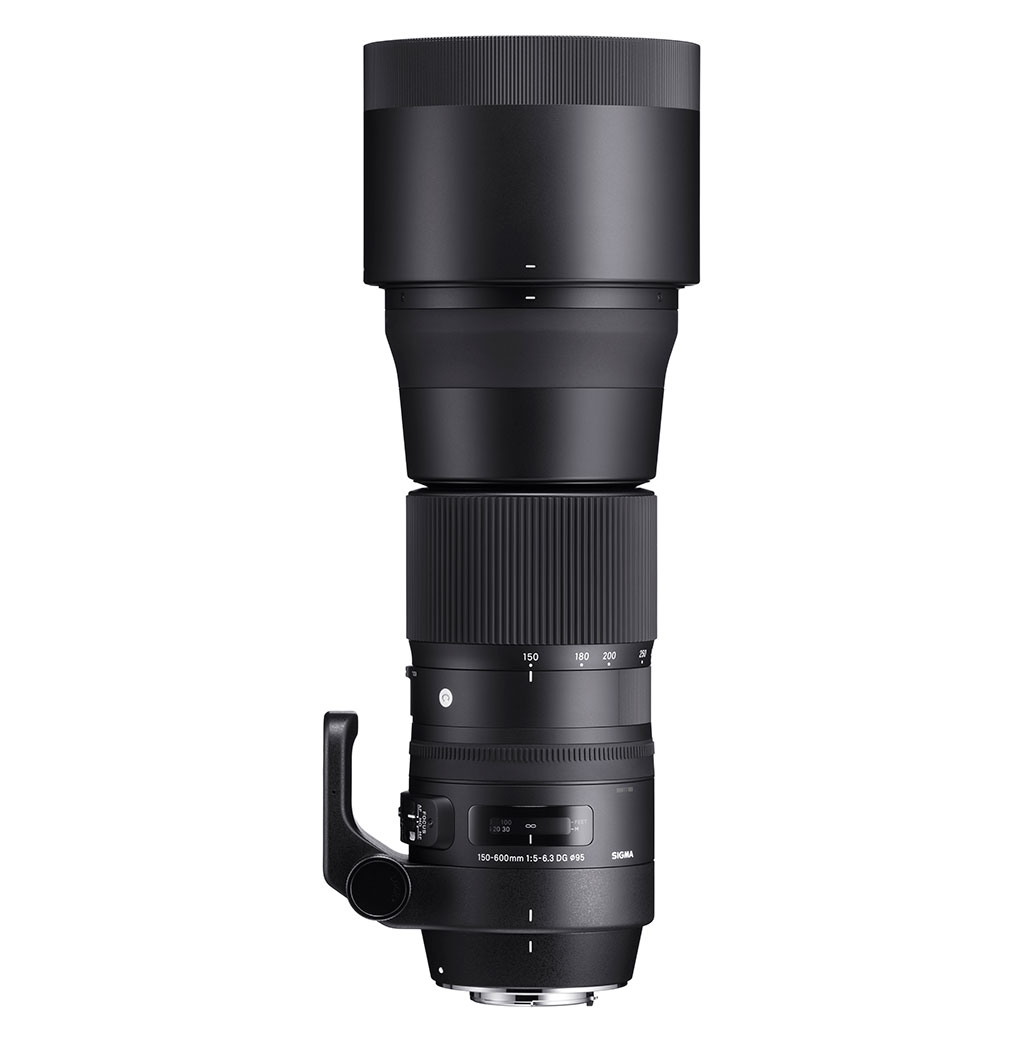SIGMA 150-600mm F5-6.3 DG OS HSM | Contemporary | SIGMA