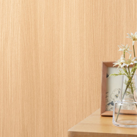 シンコール | SLP379 | エスエルプラス2025-2027