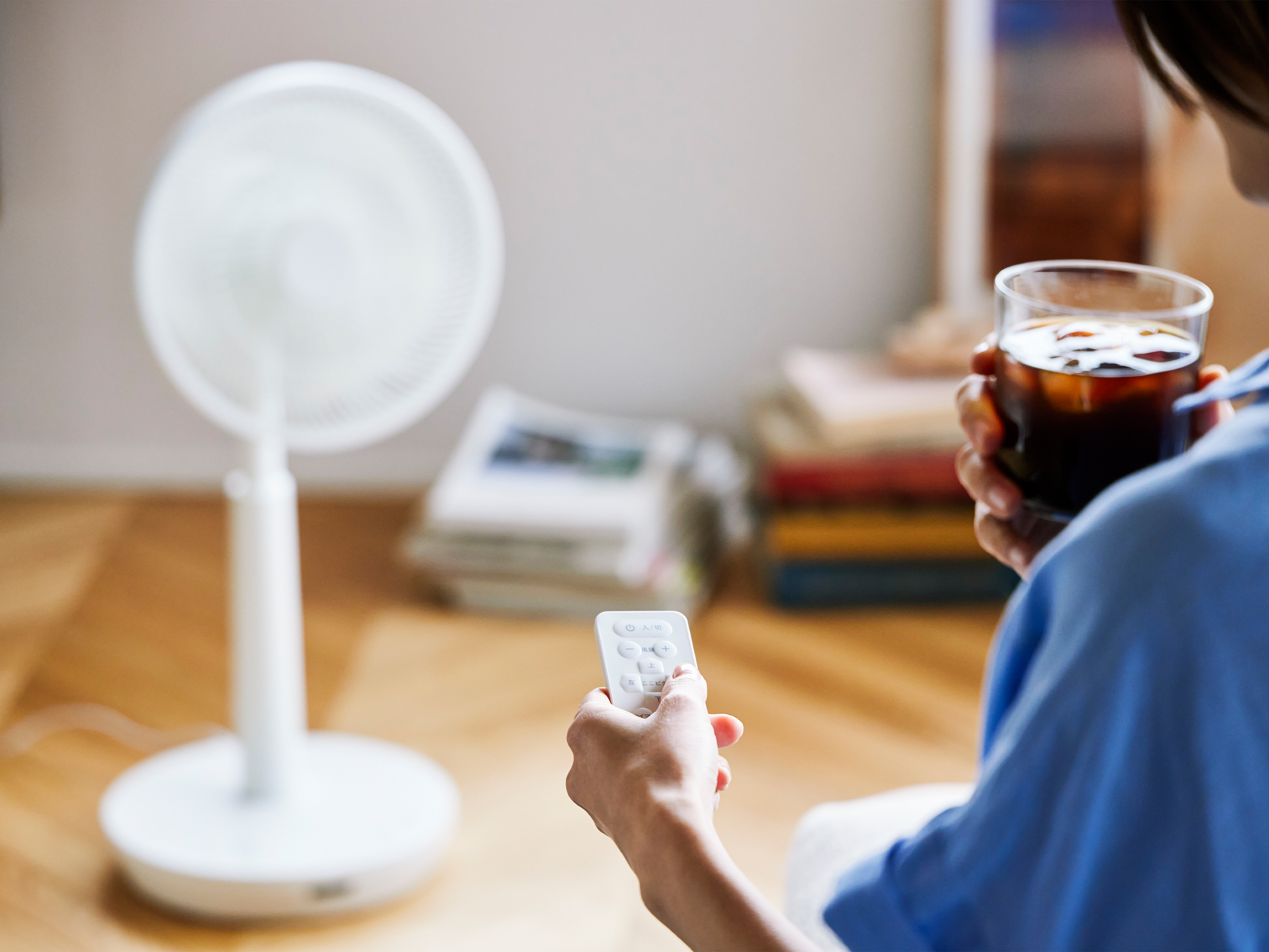 DC 3Dサーキュレーター扇風機 SF-CH232｜シロカ