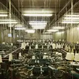 toeのレコード商品一覧：アナログレコード専門通販のSTEREO RECORDS