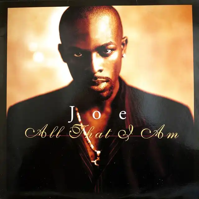 JOE ‎/ ALL THAT I AM [2LP - ]：R&B：アナログレコード専門通販の