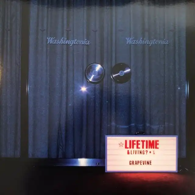 GRAPEVINE / LIFETIME [LP - PCJA-00044]：JAPANESE：アナログレコード
