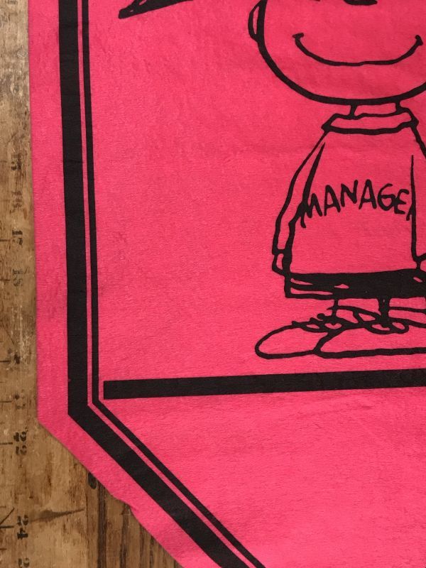 Peanuts Snoopy Charlie Brown “Win” Felt Banner チャーリー